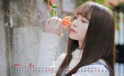 簪花扶鬓长安步 小说